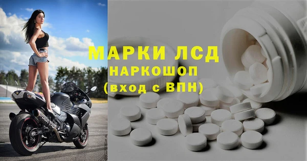 стаф Алексин