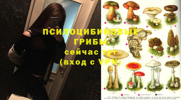 винт Алзамай