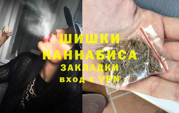 винт Алзамай