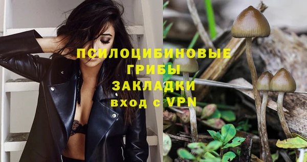 хмурый Алексеевка