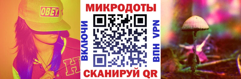 гидра ССЫЛКА  Омутнинск  Галлюциногенные грибы Psilocybine cubensis  даркнет сайт 